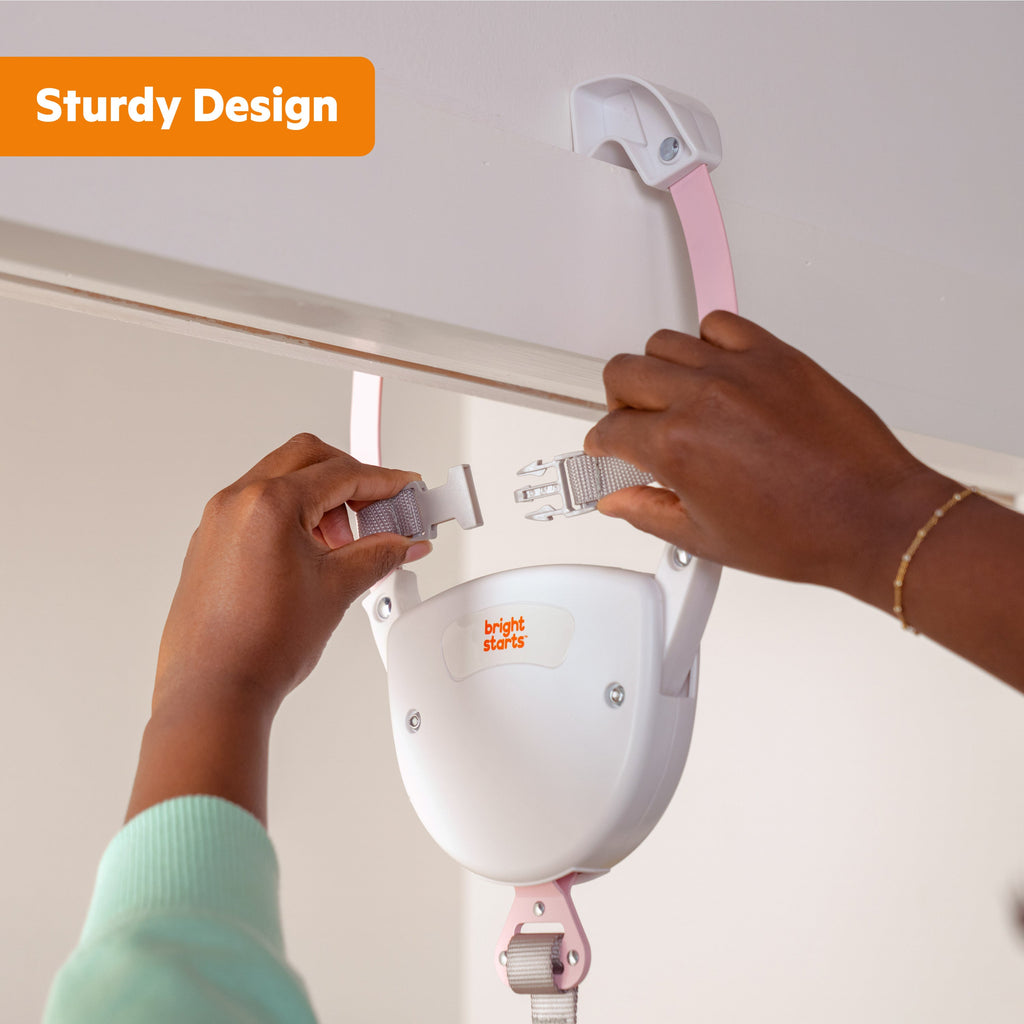 Bright Starts Purple Paradise Door Jumper