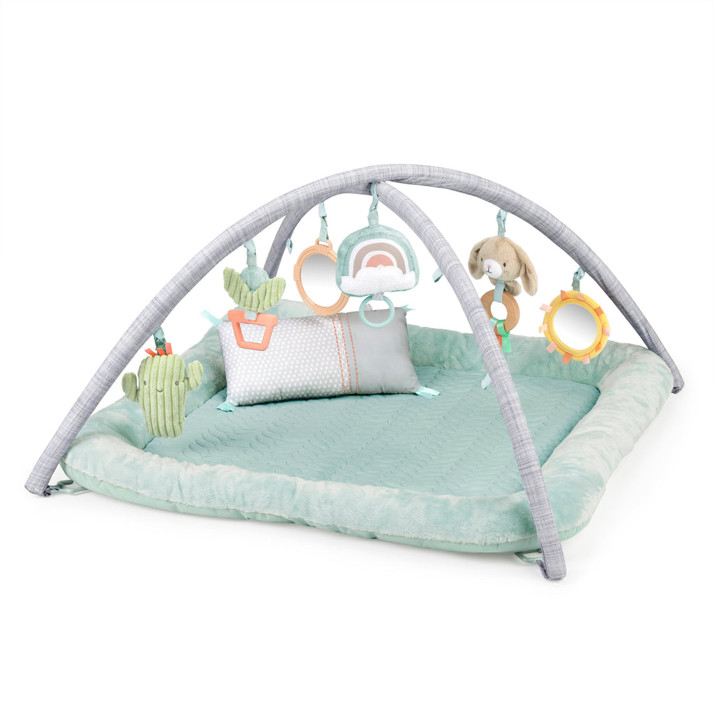 Ingenuity Calm Springs Plush Activity Baby Gym