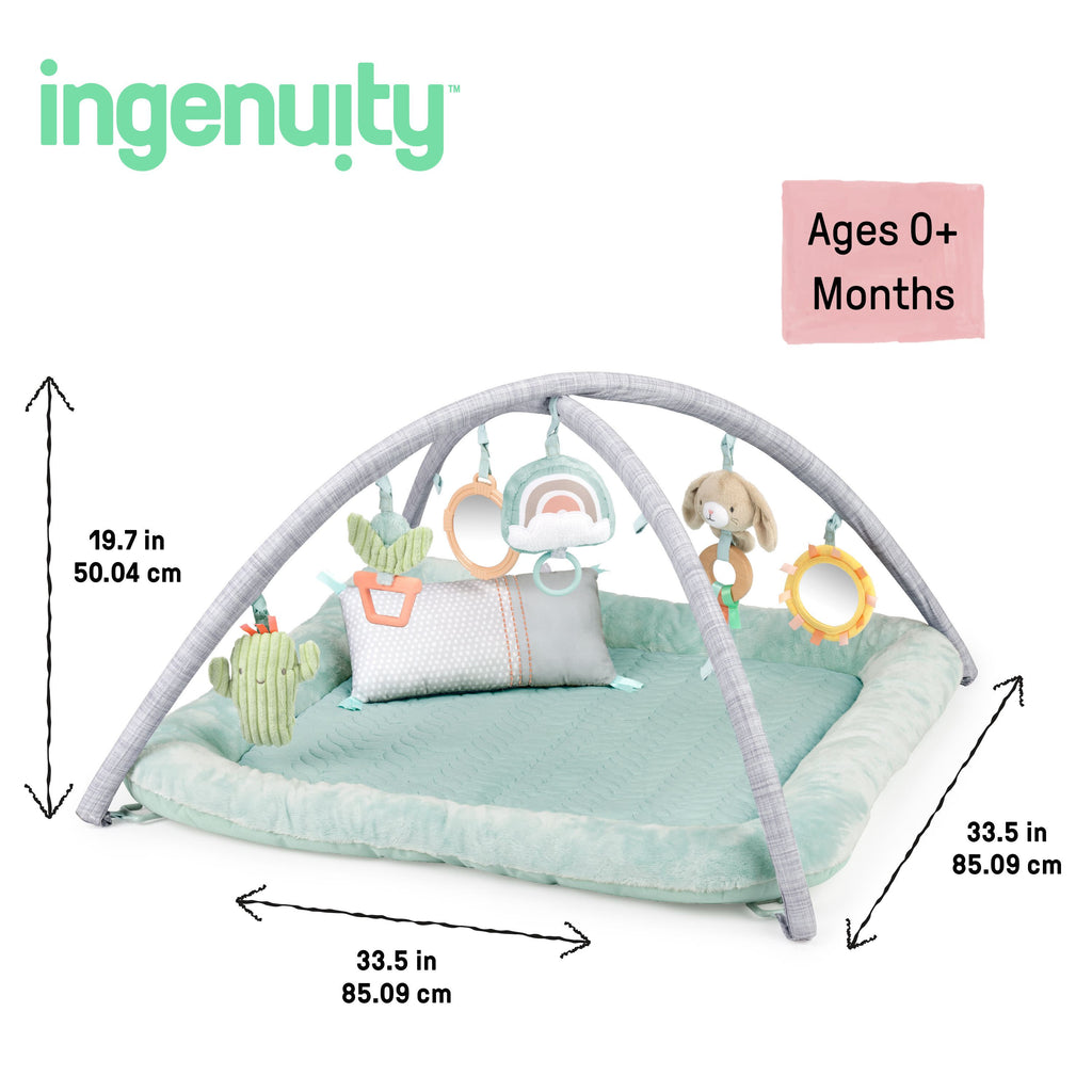 Ingenuity Calm Springs Plush Activity Baby Gym