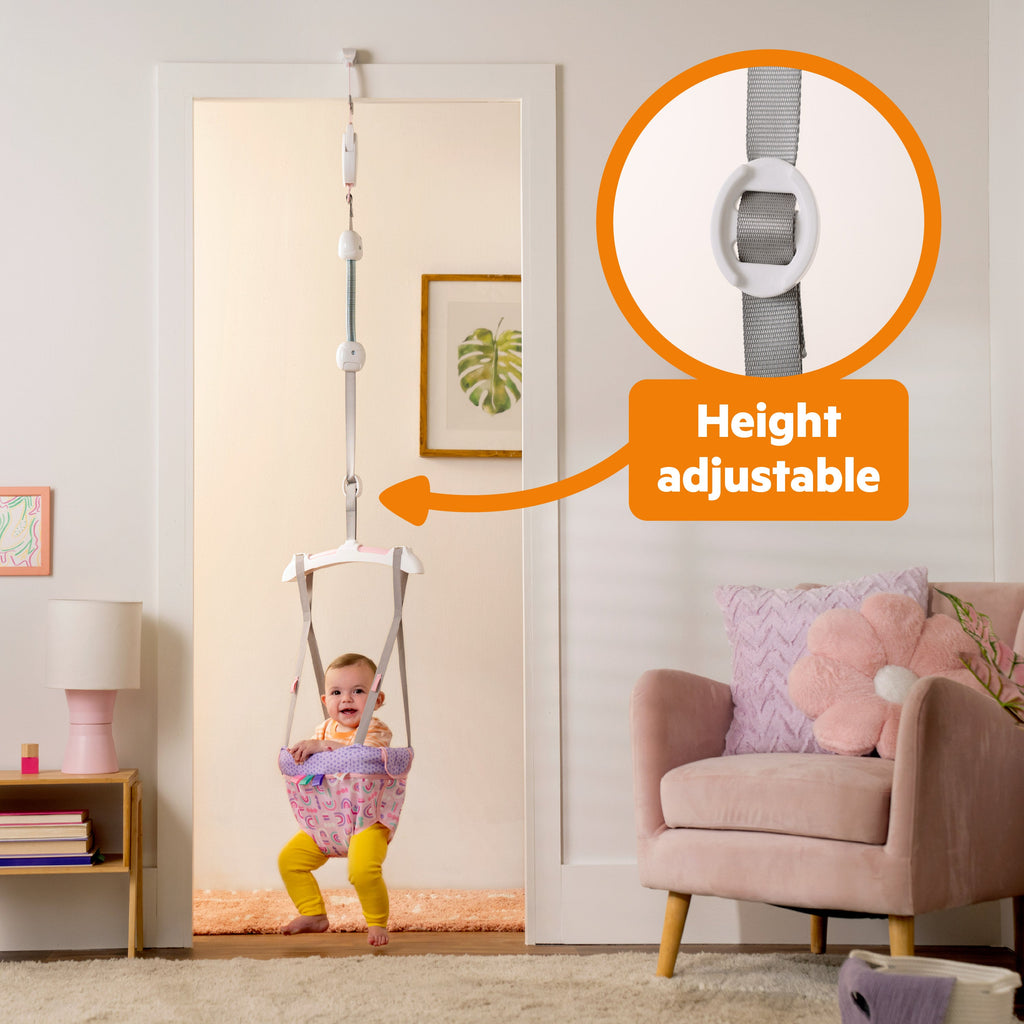 Bright Starts Purple Paradise Door Jumper