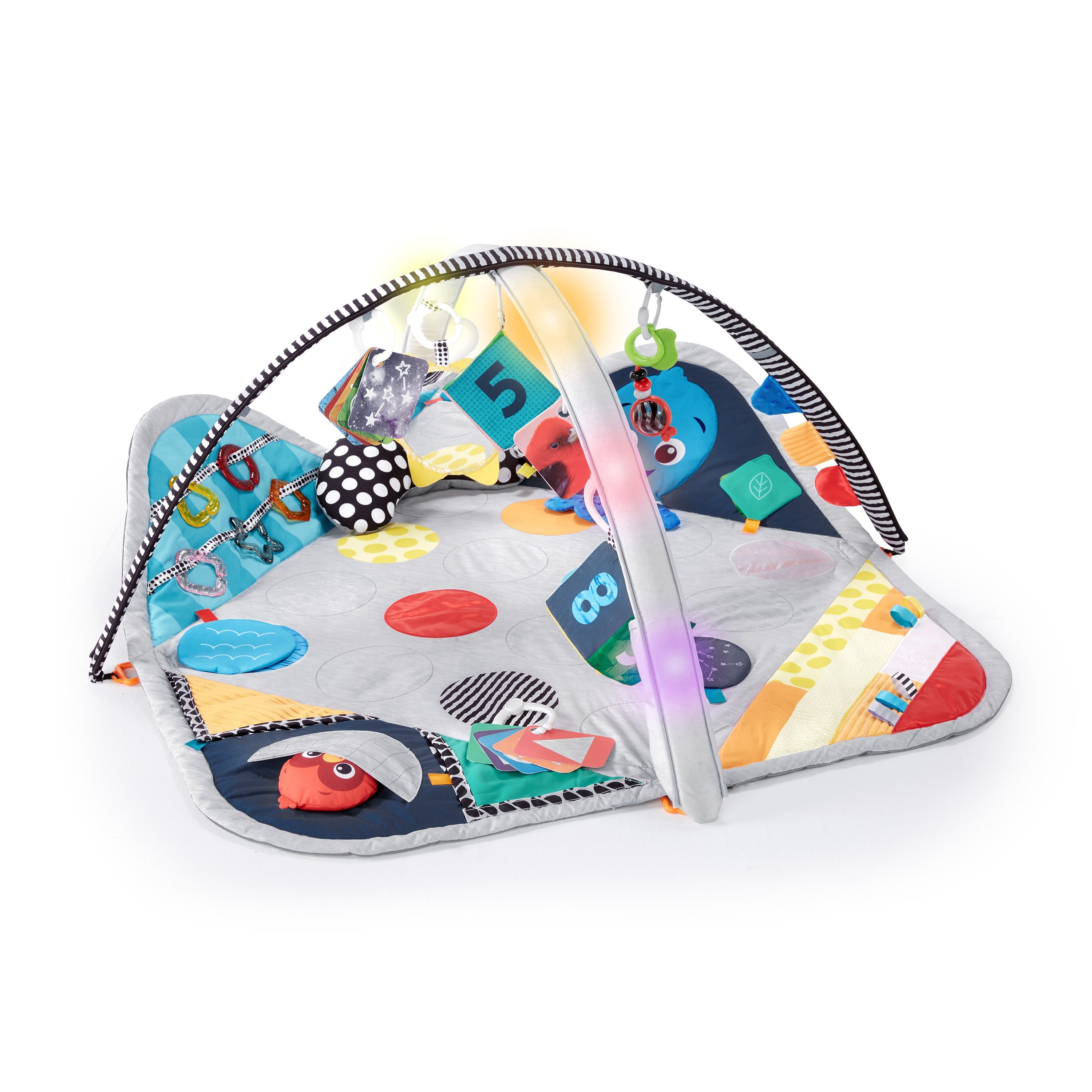 Baby Einstein Sensory Play Space Newborn-to-Toddler Discovery Gym